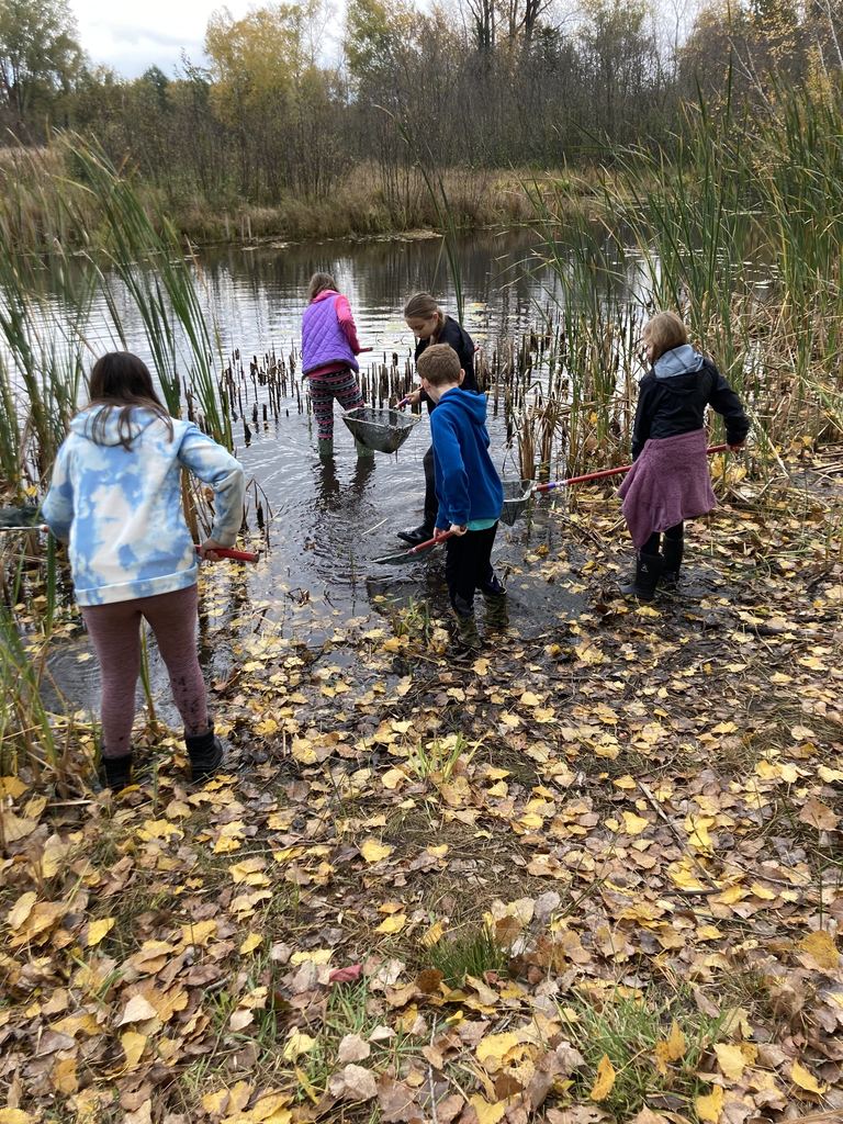 5th graders searching pond