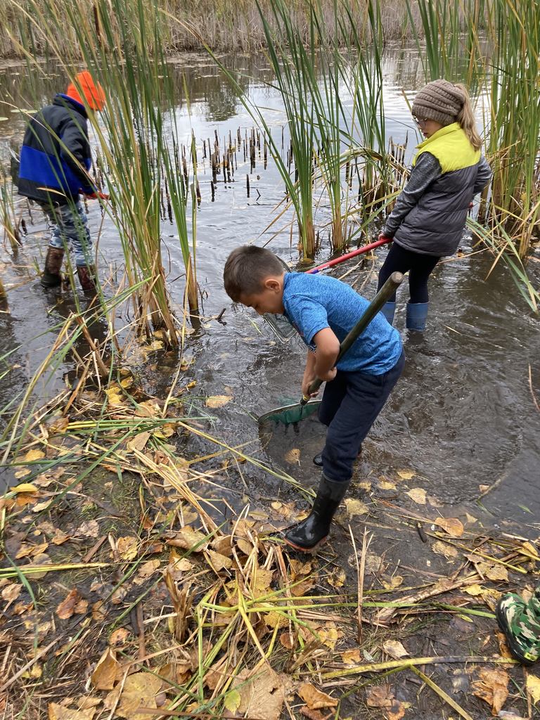 5th Graders searching pond